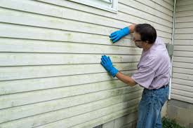 Best Fiber Cement Siding Installation  in Fresno, TX